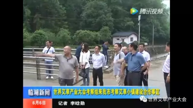 世界艾草產(chǎn)業(yè)大會創(chuàng)始人紀凱考察臨湘市艾草小鎮(zhèn)建設(shè)